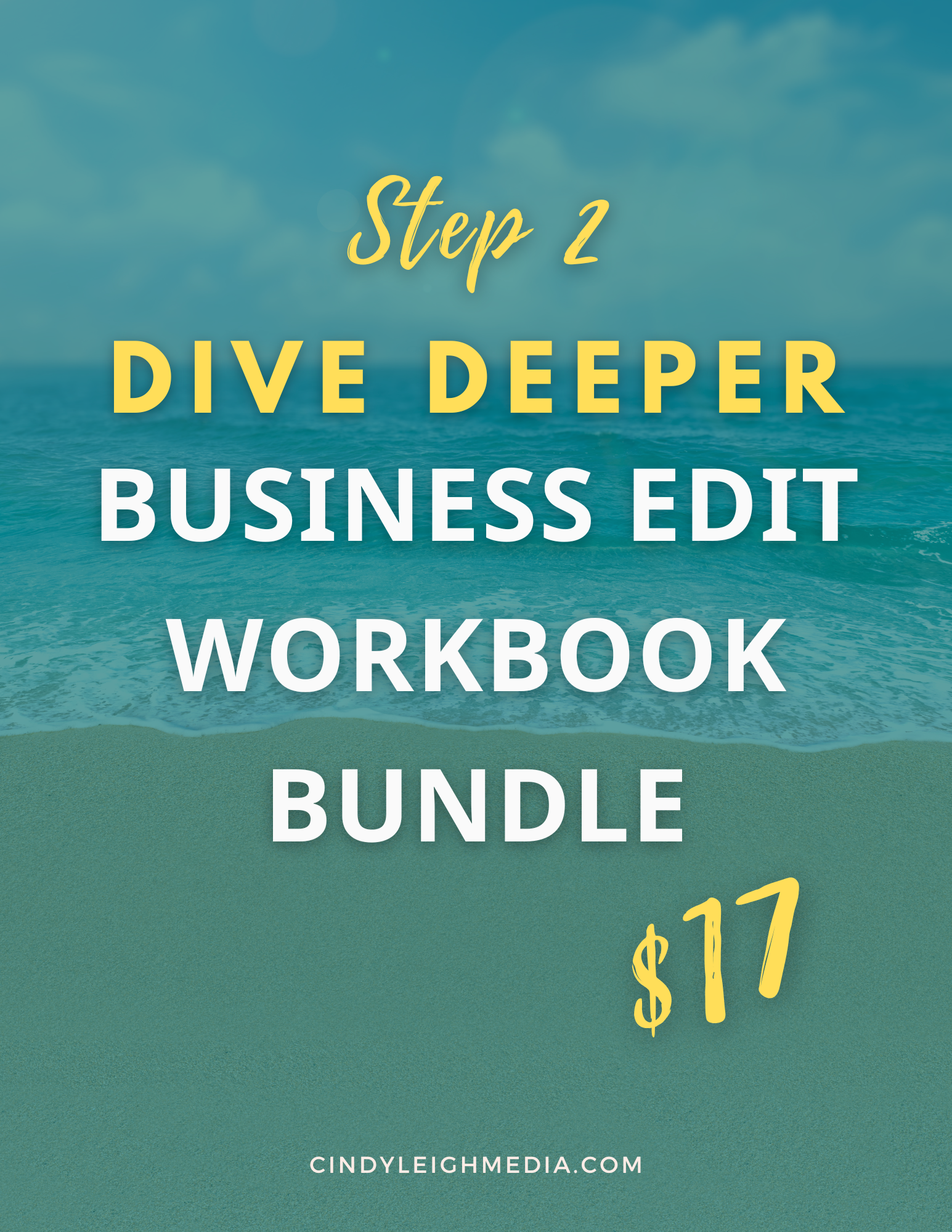 Business Edit Workbook Bundle